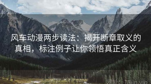 风车动漫两步读法：揭开断章取义的真相，标注例子让你领悟真正含义