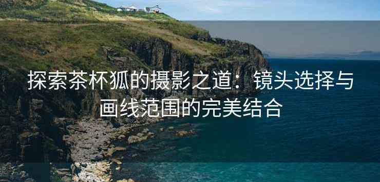 探索茶杯狐的摄影之道：镜头选择与画线范围的完美结合