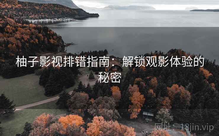 柚子影视排错指南：解锁观影体验的秘密