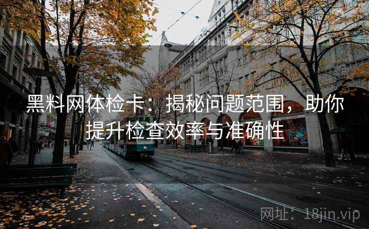 黑料网体检卡：揭秘问题范围，助你提升检查效率与准确性