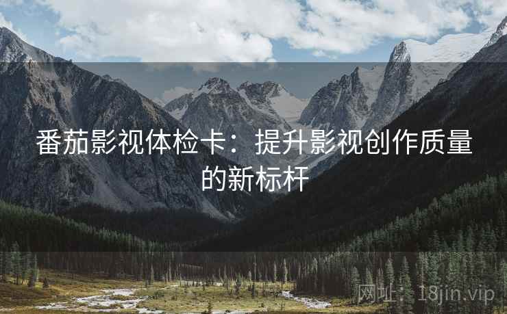 番茄影视体检卡：提升影视创作质量的新标杆