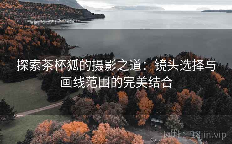探索茶杯狐的摄影之道：镜头选择与画线范围的完美结合